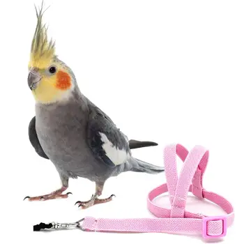 Pet Kuş Papağan Koşum Ve Tasma Kuş Halat Anti-bite Uçan Eğitim Malzemeleri evcil hayvan tasması Kitleri Ultralight Koşum Tasma Yumuşak