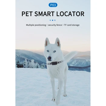 P03 Akıllı Pet Kablosuz GPS Bulucu Ultra Uzun Bekleme Su Geçirmez Kediler Ve Köpekler Pet Seyahat Anti-kayıp İzci Yaka Pet Malzemeleri