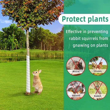 2 adet ağaç gövdesi Koruyucu, Plastik Spiral Ağaç Koruma-Ağaç Kabuğu Koruyucu Tüp Sarar Korumak için Fidan Bitkiler Geyik Tavşan