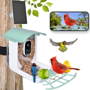 2.4 G WiFi Kuş Besleyici Video Kamera İle güneş panelı Gözetim IP Kuş Kamera AI Akıllı Tanımlama Kuş Kamera belirtir kuş