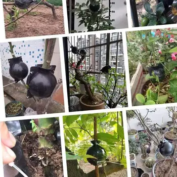 5 adet Bitki Köklenme Topu Aşılama Yayılım Büyüyen Kreş Kutusu Yetiştiriciliği Yüksek Basınçlı Durumda Bitki Kök Konteyner Bahçe Aletleri
