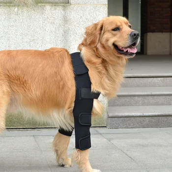 Köpek bacak desteği Pet Bacak Desteği Malzemeleri Köpek Bacak Koruyucu Köpekler Kurtarma Kol Korur Yaralar evcil hayvan aksesuarları