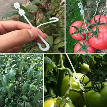 50 adet J Şekilli Sebze Meyve Domates Kiraz Kulak Kancası Bahçe Tesisi Üzüm Destek Vines Fastener Klipler Kafes Sabit Toka Kanca