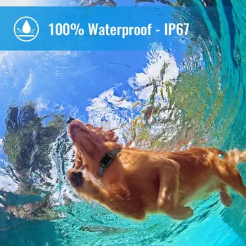 Köpek Eğitim Yaka Su Geçirmez Şarj Edilebilir 998DB Köpek Eğitim E-Yaka 330 M Uzaktan 3 Eğitim Modları ile Statik Titreşim Bip
